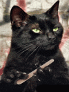 Чёрный кот-модник